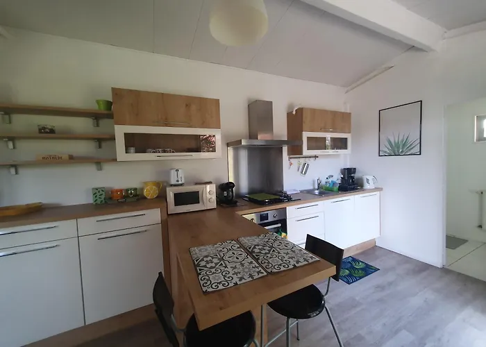 Studio Avec Jardin-Proche Ldlc-Groupama Stadium-Eurexpo-Metro